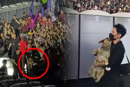 Perrito se cuela en concierto de BTS