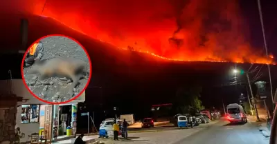 Especialista advierte incremento del desastre