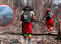 Jun�n: incendio forestal en R�o Tambo destruye 350 hect�reas de bosque primario y deja a 50 familias sin hogar