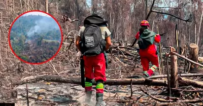 Incendios forestales causan estragos en el interior del pa�s.