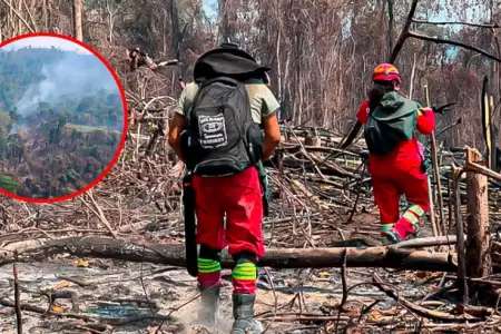 Incendios forestales causan estragos en el interior del pa�s.