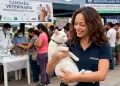 Campa�a veterinaria GRATUITA este jueves 15 de octubre: �D�nde y qu� servicios estar�n disponibles?