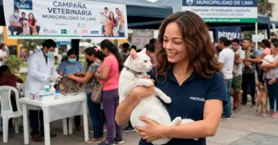 La campa�a ser� el 15 de octubre.