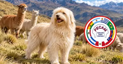 Per� suma una nueva raza canina oficial