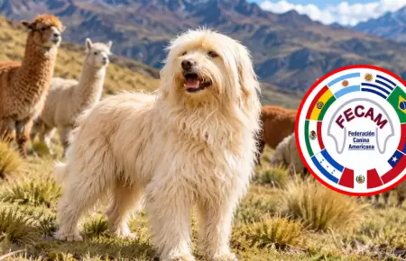 Per� suma una nueva raza canina oficial