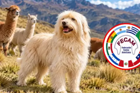 Per� suma una nueva raza canina oficial