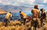 Ej�rcito despliega brigadas para frenar graves incendios forestales desatados en Ayacucho