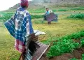 Senamhi alerta incremento de vientos en la sierra sur del 11 al 13 de octubre con r�fagas intensas