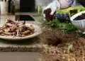�Te sobraron huesos de pollo?: no los tires y aprende c�mo aprovecharlos en tu jard�n