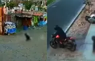 Balean a presunto extorsionador al intentar cobrar cupo en el R�mac: sujeto huy� arrastr�ndose