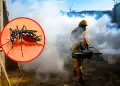 Registran 8001 contagios de dengue en La Libertad y aplicar�n multas a familias bloqueen inspecciones