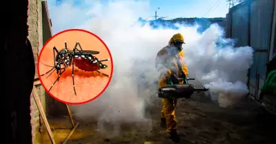 Superan los 8001 casos de dengue en La Libertad