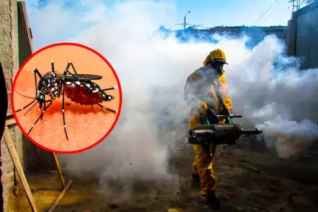 Superan los 8001 casos de dengue en La Libertad