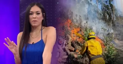 Jazm�n Pinedo ayuda a bomberos tras incendios forestales