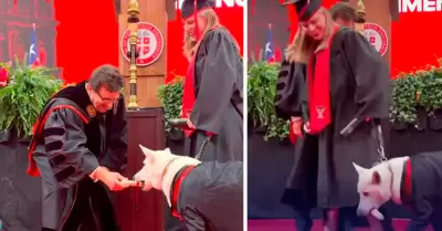 Perrito recibe su hueso de graduaci�n.