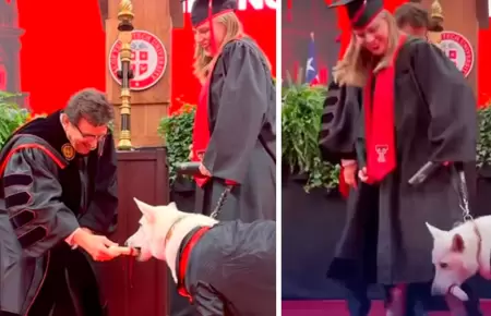 Perrito recibe su hueso de graduaci�n.
