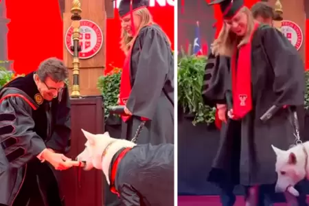 Perrito recibe su hueso de graduaci�n.