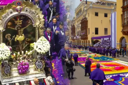Se podr�n observar alfombras florales durante el segundo recorrido.