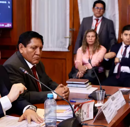 Comisi�n de Constituci�n del Senado.
