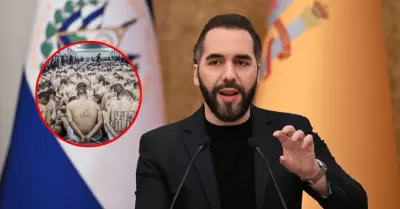 Nayib Bukele planea ofrecer liberaci�n a presos que colaboraron con pandillas