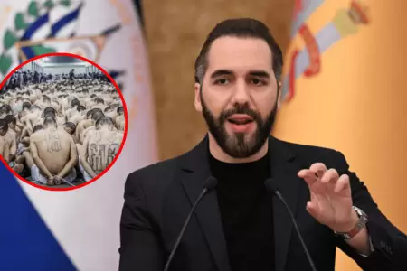 Nayib Bukele planea ofrecer liberaci�n a presos que colaboraron con pandillas