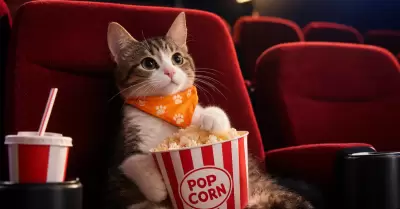 "Cine de Patas"