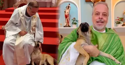 Sacerdote rescata perritos abandonados en Brasil.