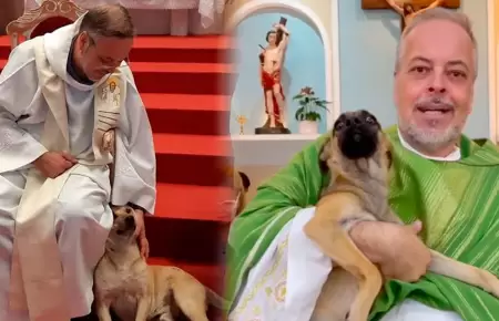 Sacerdote rescata perritos abandonados en Brasil.