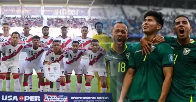 La Bicolor jugar� su pr�ximo partido amistoso.
