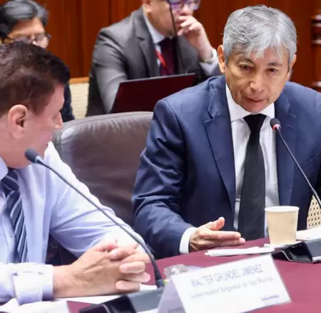 Comisi�n Bicameral de Presupuesto y de la Cuenta General de la Rep�blica.