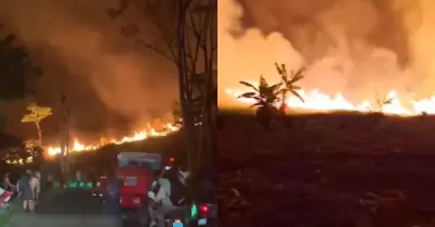 Incendio forestal genera alarma en Tarapoto