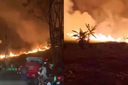 Incendio forestal genera alarma en Tarapoto