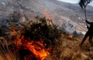 Un incendio forestal en Huancavelica destruy� la casa del alcalde distrital: humareda dej� 4 heridos
