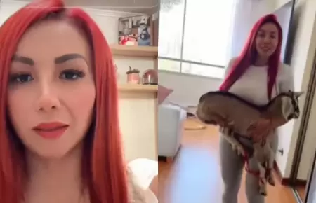 Deysi Araujo devolver� la cabra que ten�a en su departamento