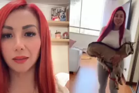 Deysi Araujo devolver� la cabra que ten�a en su departamento