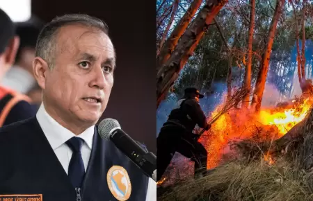 Indeci afirma que incencios forestales han dejado 12 personas fallecidas