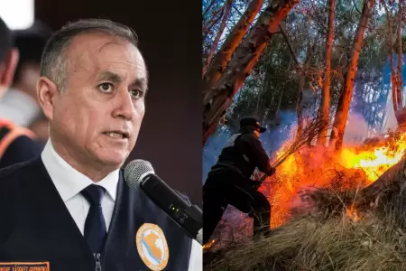 Indeci afirma que incencios forestales han dejado 12 personas fallecidas