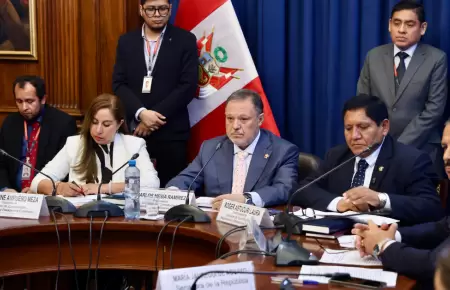 Comisi�n de Constituci�n del Senado