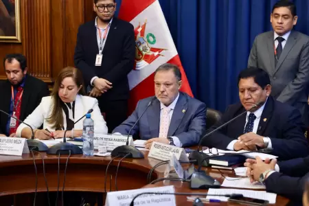 Comisi�n de Constituci�n del Senado