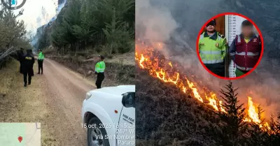 Trabajador municipal en Cusco deber� reforestar 10 hect�reas tras provocar incen