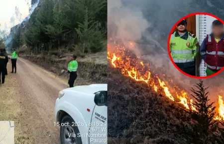 Trabajador municipal en Cusco deber� reforestar 10 hect�reas tras provocar incen