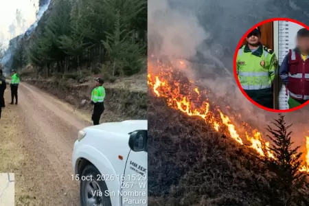 Trabajador municipal en Cusco deber� reforestar 10 hect�reas tras provocar incen