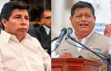 Pedro Castillo / Walter Ayala.