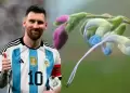 'Salvia messii': descubren nueva especie de flor en Per� y la bautizan en honor a Lionel Messi