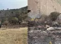 Cusco: detienen a hombre que provoc� incendio forestal cerca del Se�or de Huanca por lanzar colilla de cigarro