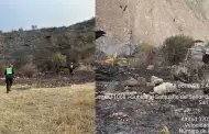 Cusco: detienen a hombre que provoc� incendio forestal cerca del Se�or de Huanca por lanzar colilla de cigarro