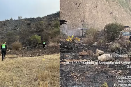 Detienen a hombre que provoc� incendio forestal cerca del Se�or de Huanca