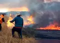 Emergencia ambiental en Puno: incendio forestal arrasa totorales cerca de las Islas de los Uros