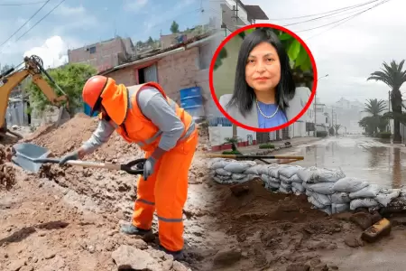 La experta advirti� serias deficiencias en acciones preventivas.
