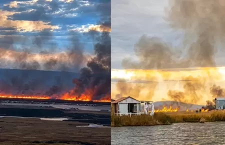 Controlar incencio forestal en Totorales en el lago Titicaca